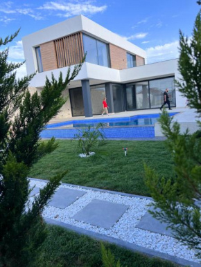 Modern villa